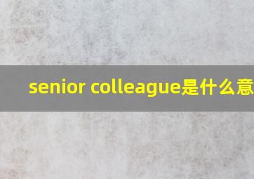 senior colleague是什么意思